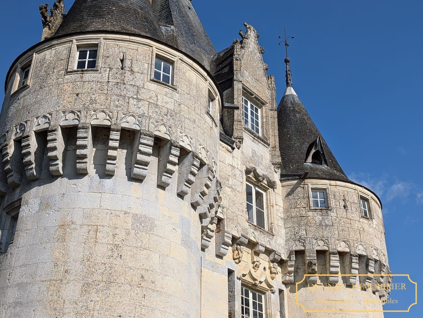 Historic Château With 18 Bedrooms And 20 Hectares Of Parkland 3