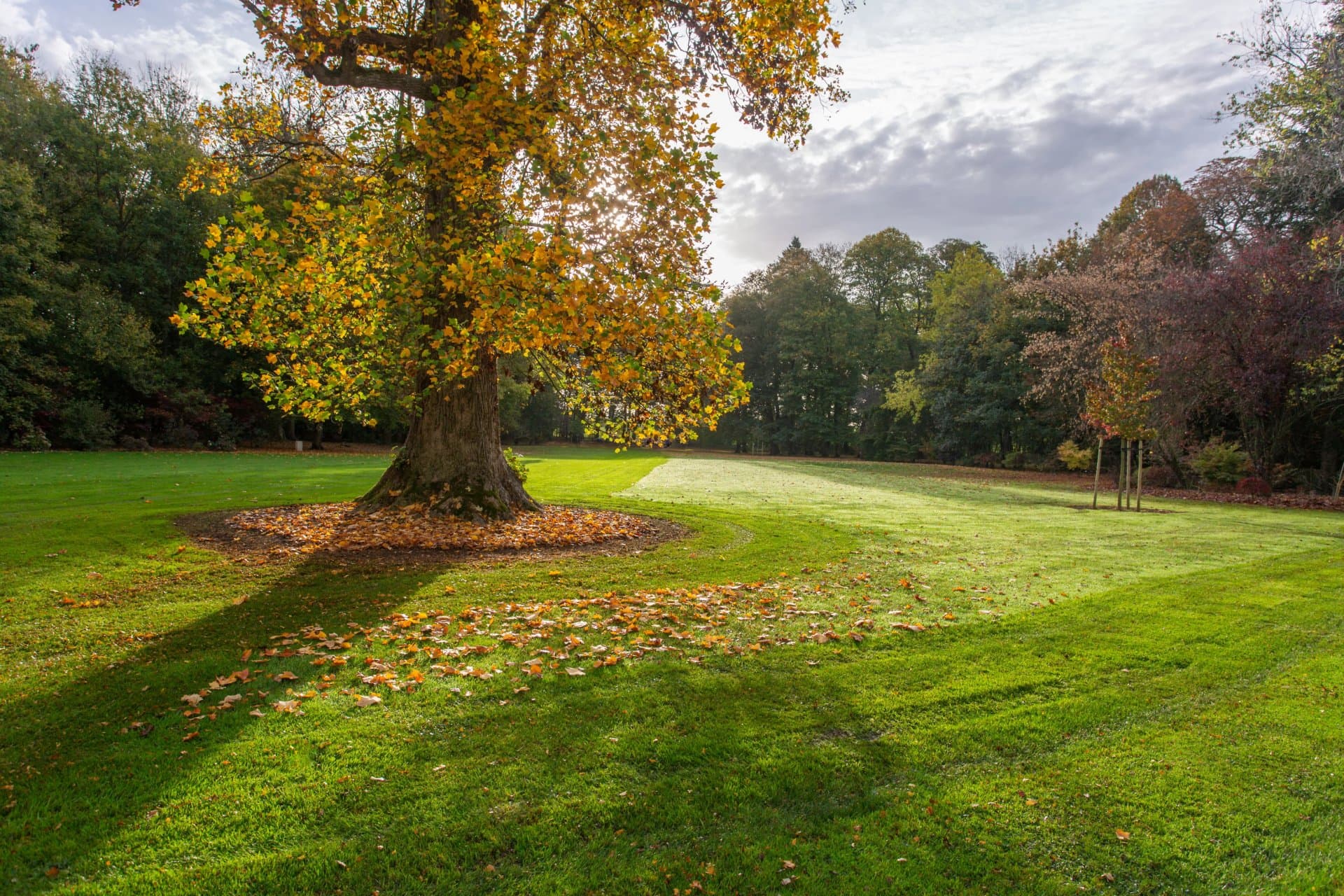 Elegant Château with 10 Bedrooms and 11 Hectares of Parkland 3