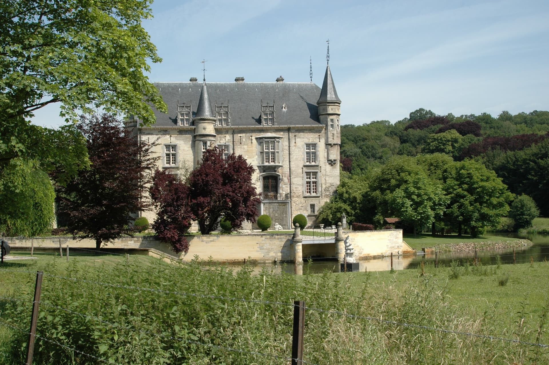 Historic Schaloen Castle With 16 Apartments And Scenic Views 2