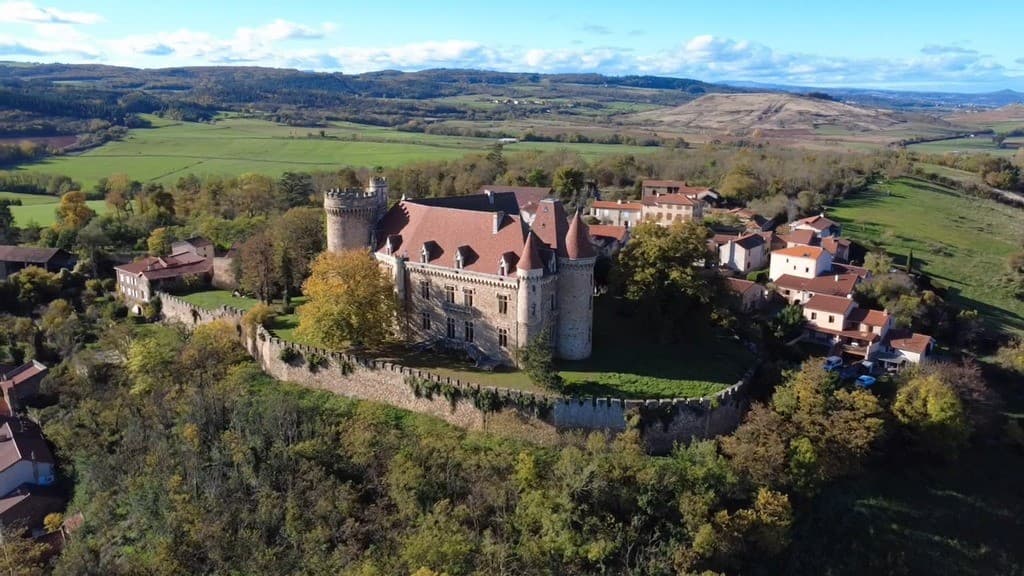 Spacious Castle With 23 Bedrooms And Terrace 4