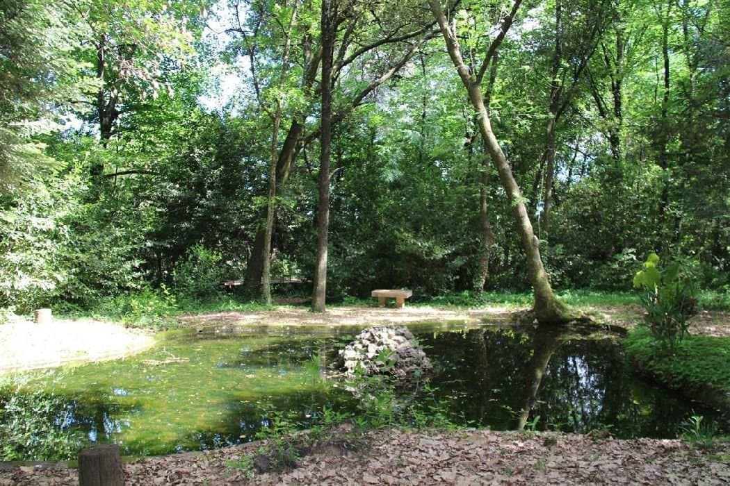 Historic 15th Century Château With Expansive Grounds 5