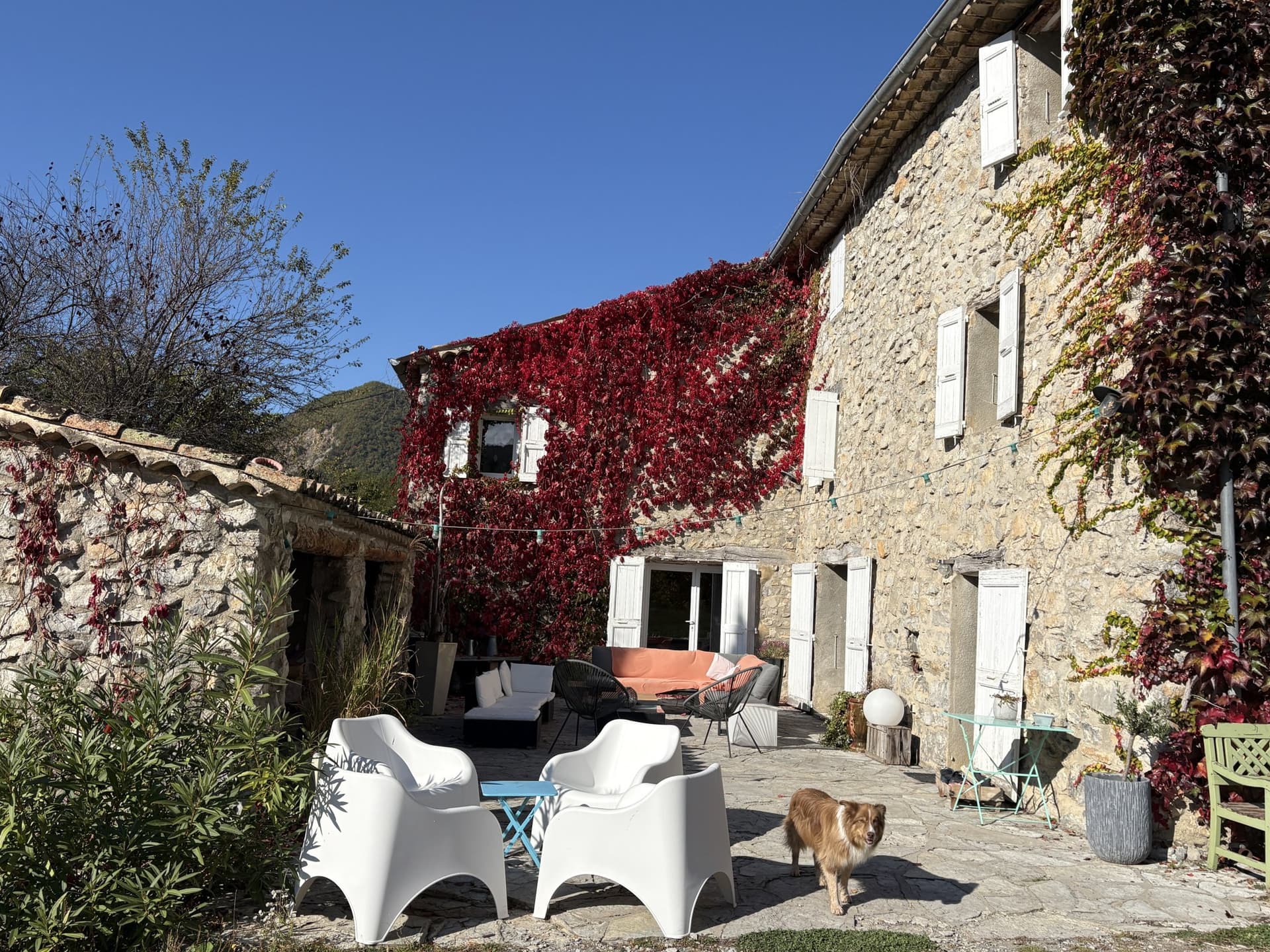Property With Gîtes And Swimming Pool On 11 Hectares 5