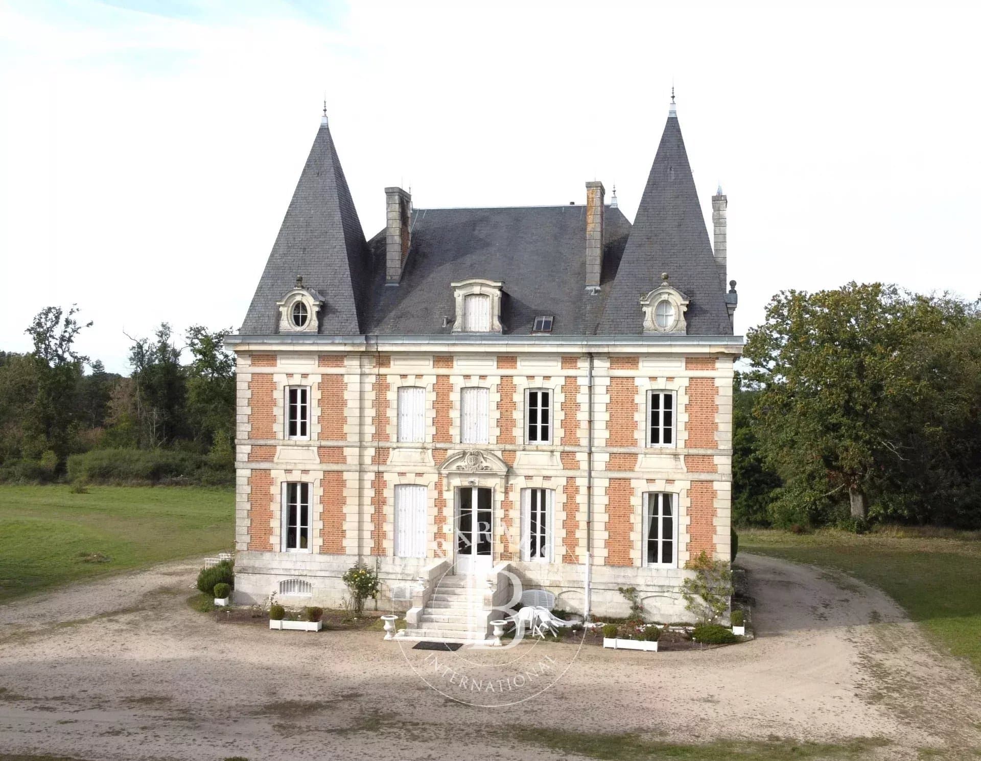 19th Century Castle With 13 Bedrooms And Private Pond 2