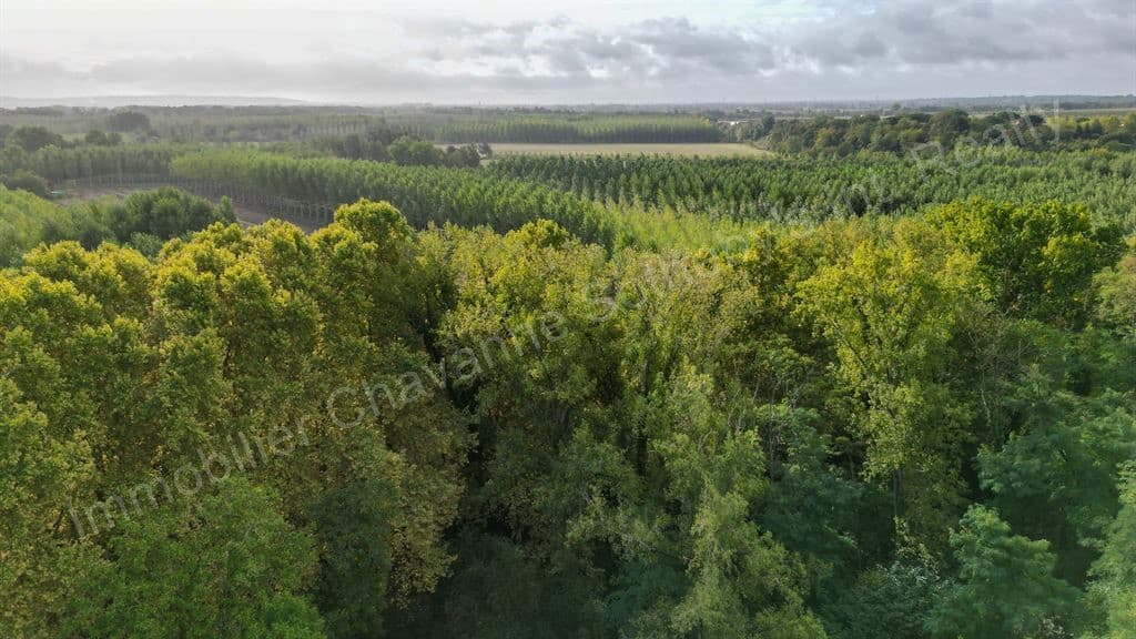 Elegant Château Near Toulouse With Summer House And Swimming Pool 4
