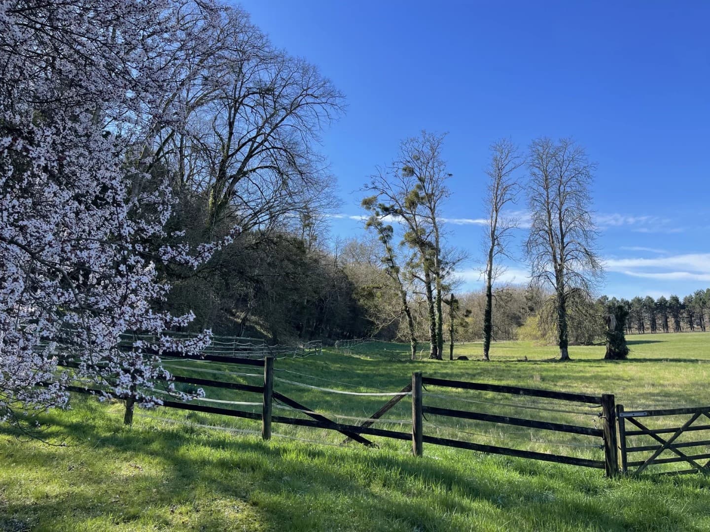 Elegant 15th Century Château With Equestrian Facilities 2