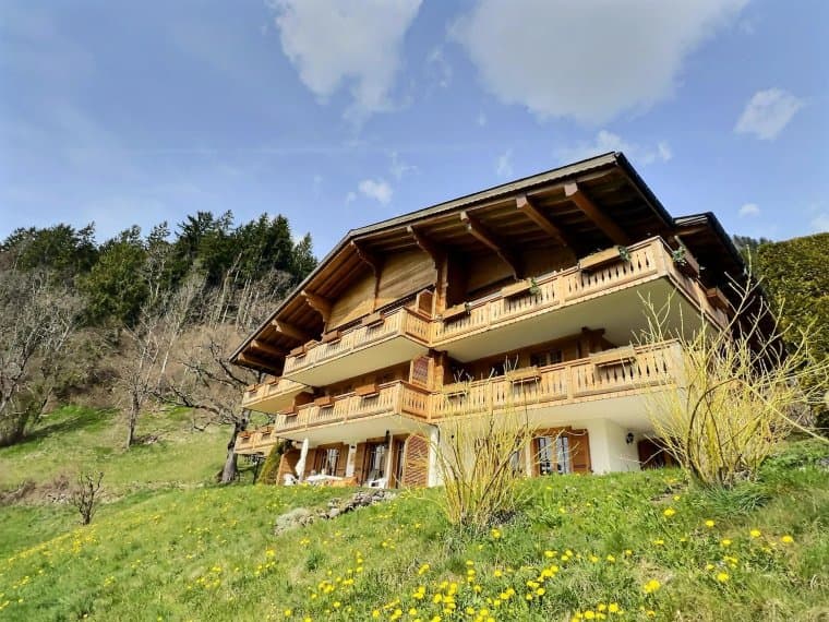 Beautifully Renovated 3-Bedroom Duplex With Terrace in Château-d’Oex