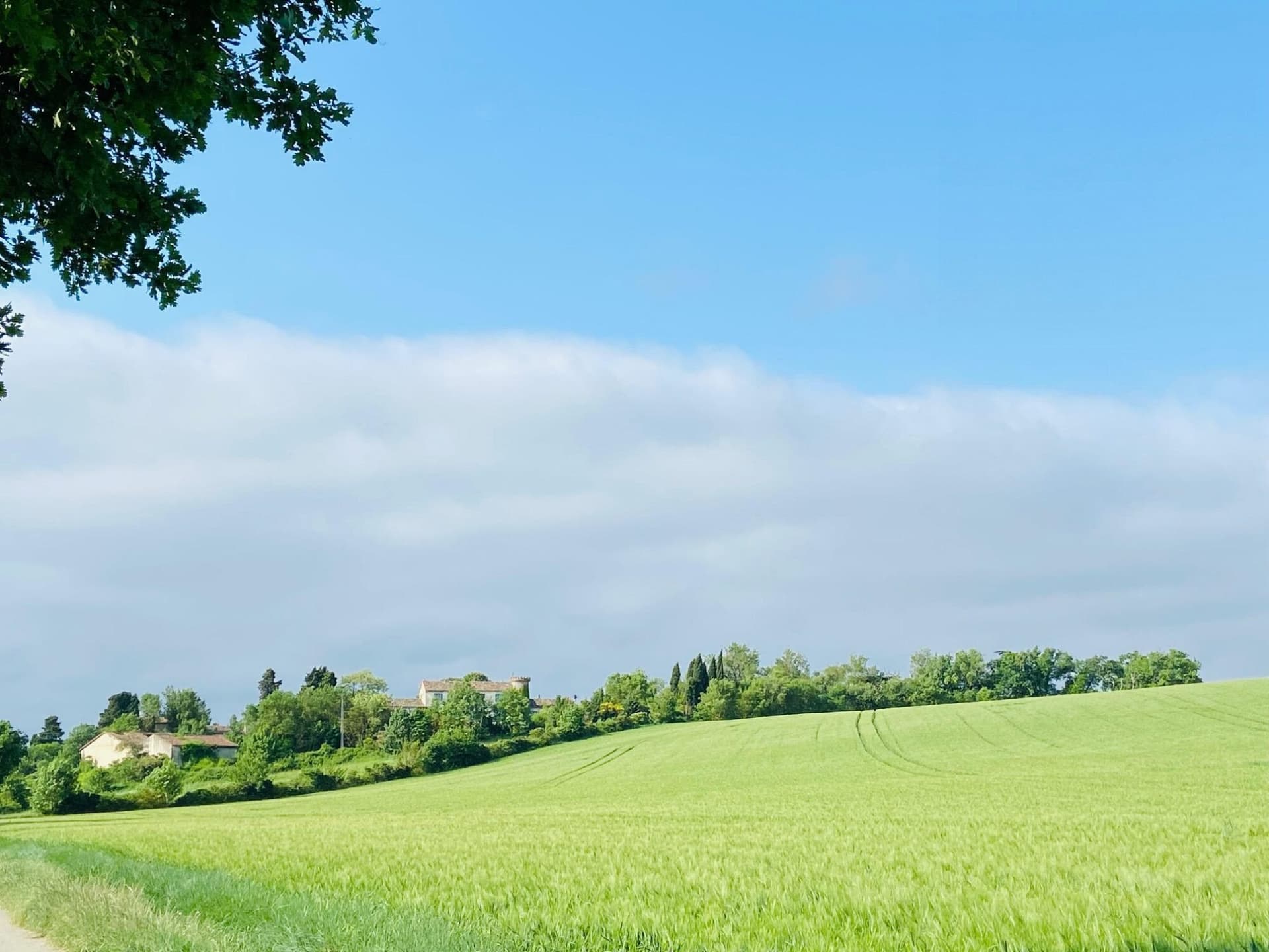 Château With 880 Sqm Living Space And 4 Hectare Park 3