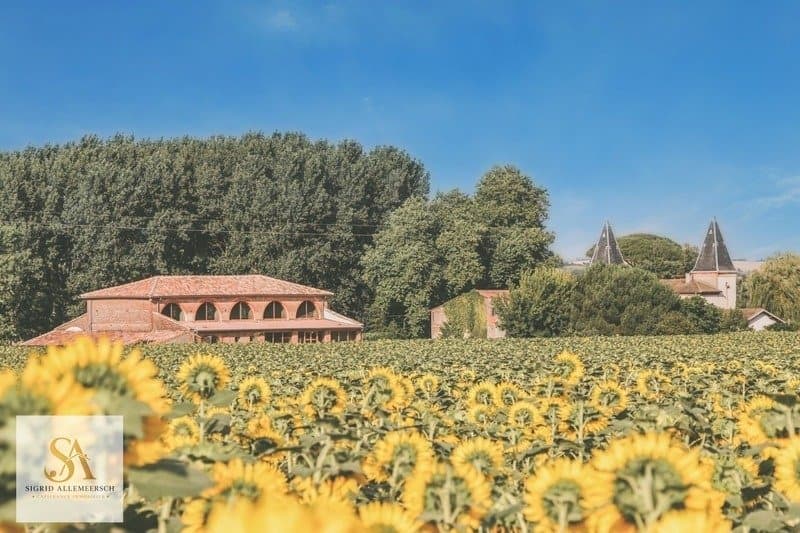 Château With Event Hosting Potential In A Wooded Park 3