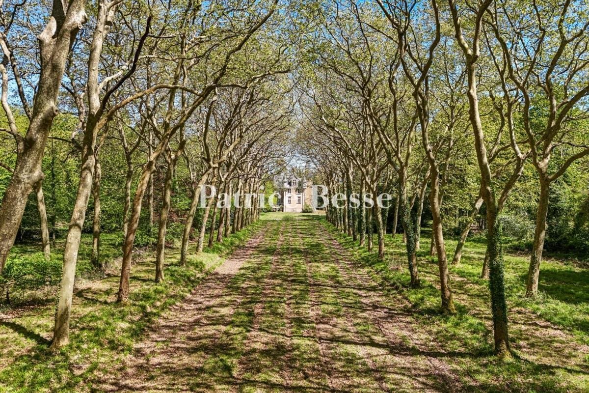 19th Century Château With Medieval Origins Set Within 22 Hectares of Grounds 5