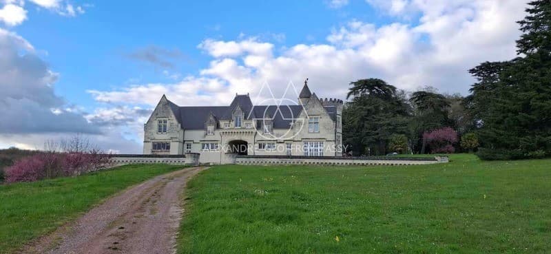 Spacious Castle With 19 Bedrooms and Kitchen — in Vienne, Nouvelle-Aquitaine