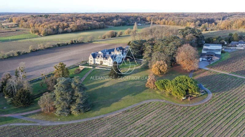 Spacious Castle With 19 Bedrooms and Kitchen 3