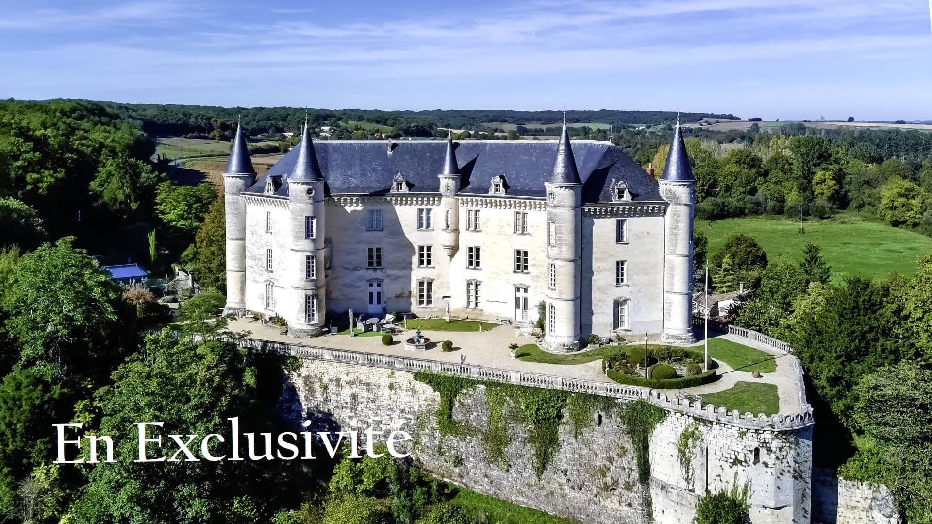 Majestic 19th Century Château with Swimming Pool and Guest House 4