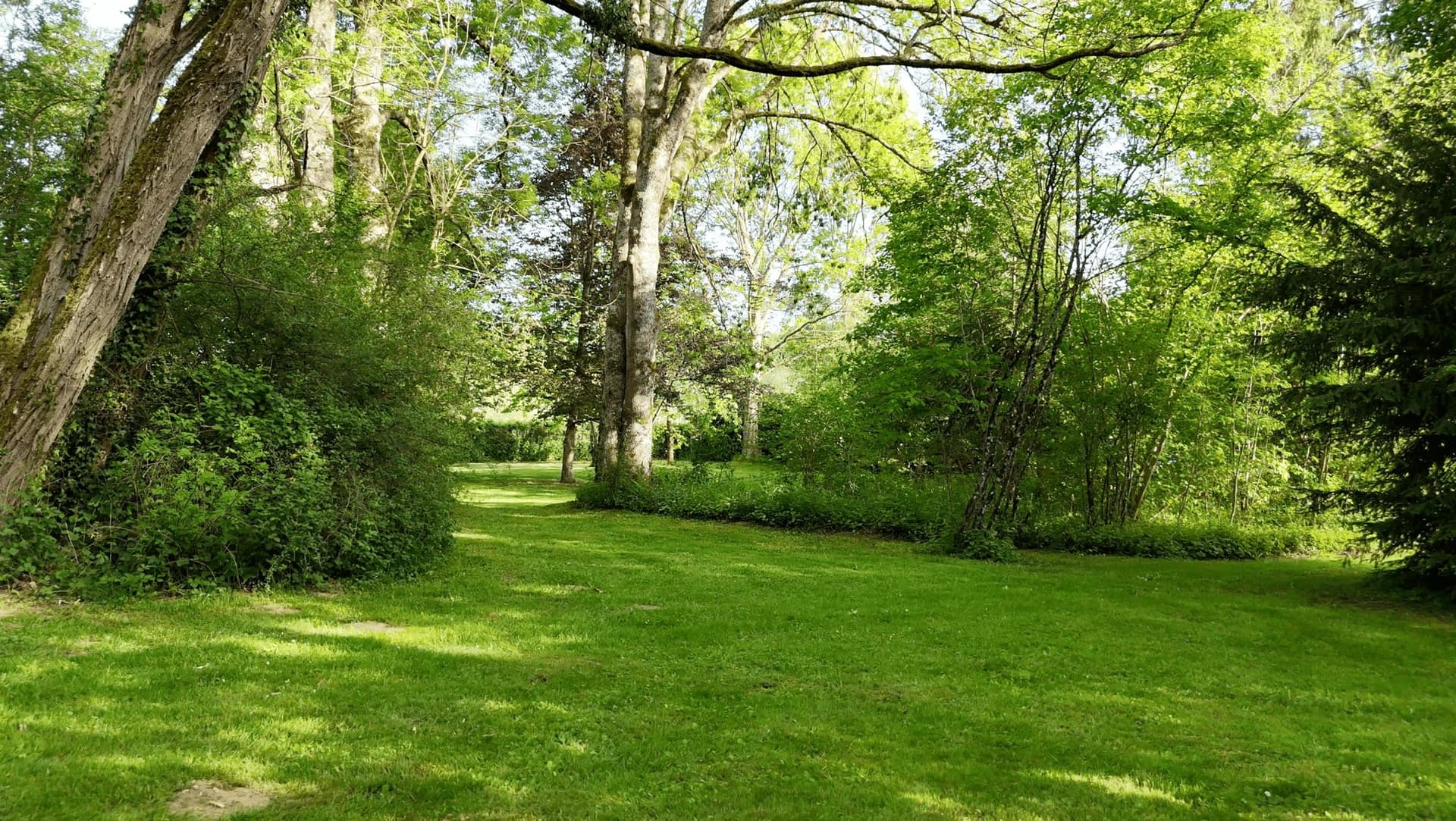 Charming Former Presbytery With Park and Century-Old Trees 5