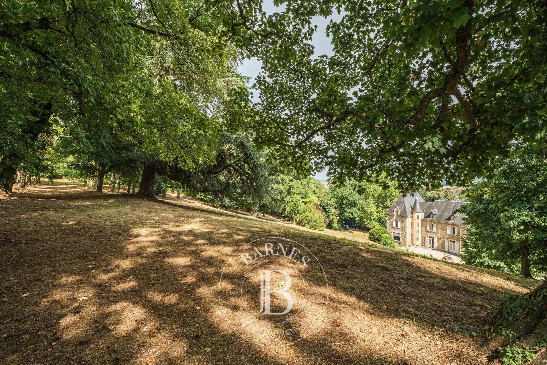 Elegant 19th Century Château Set Within A 2 Hectare Park 3