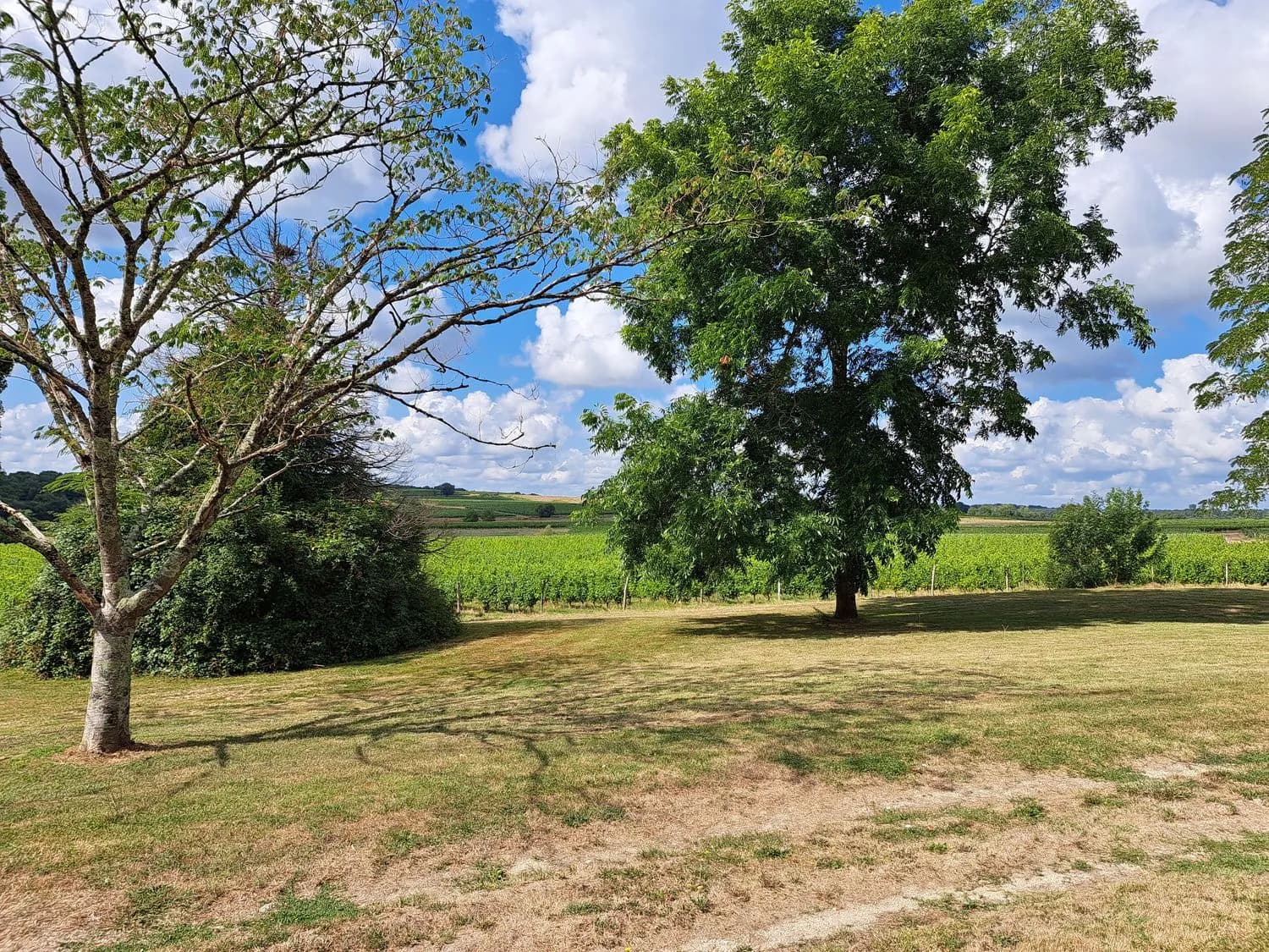 Charming 40 Hectare Wine Estate With Stone Charterhouse 5