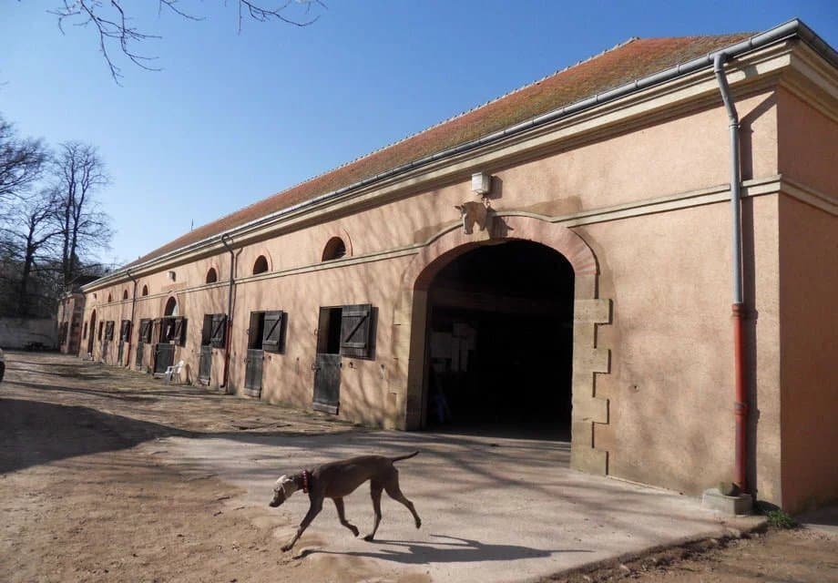 Exceptional Directoire Castle With Extensive Equestrian Facilities 5