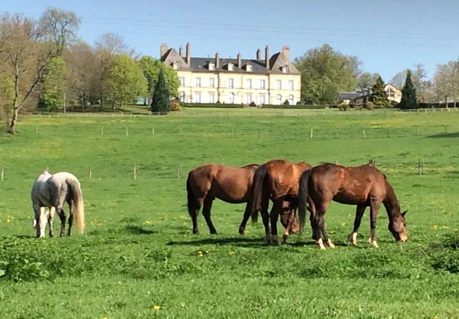 Exceptional Directoire Castle With Extensive Equestrian Facilities 4