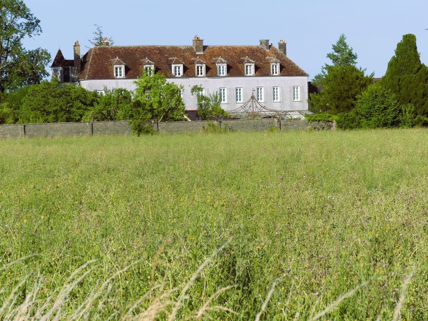 Spacious Castle with 8 Bedrooms and 7 Bathrooms — in Bourgogne-Franche-Comté, France
