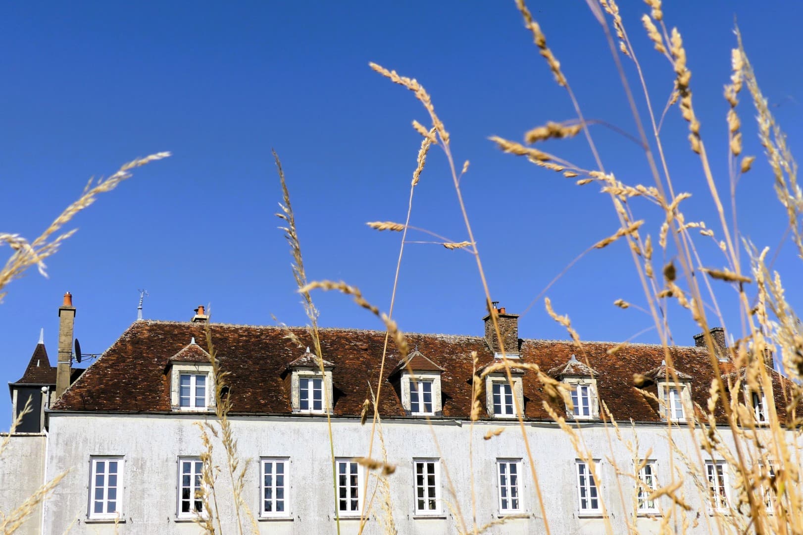 Spacious Castle with 8 Bedrooms and 7 Bathrooms 2