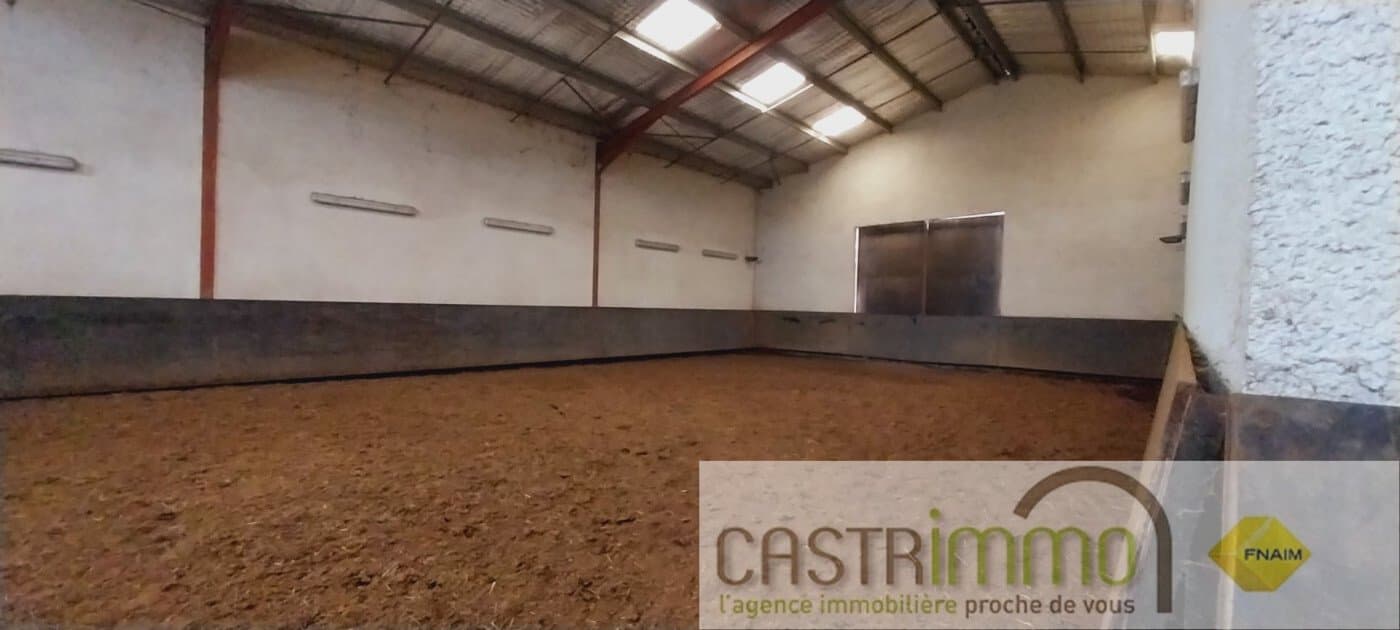 Equestrian Farmhouse With Covered Riding Arena And Above-Ground Pool 3