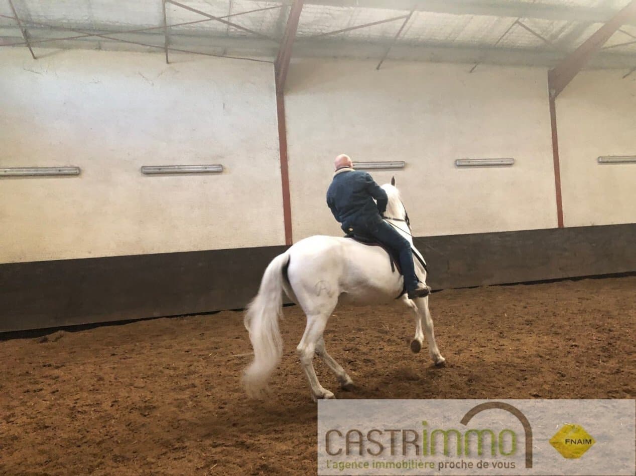 Equestrian Farmhouse With Covered Riding Arena And Above-Ground Pool 5