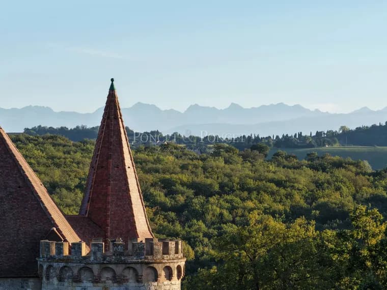 Historic Renaissance Château With Stunning Pyrenees Views 4