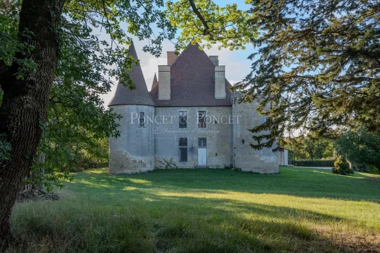 Historic Renaissance Château With Stunning Pyrenees Views 5