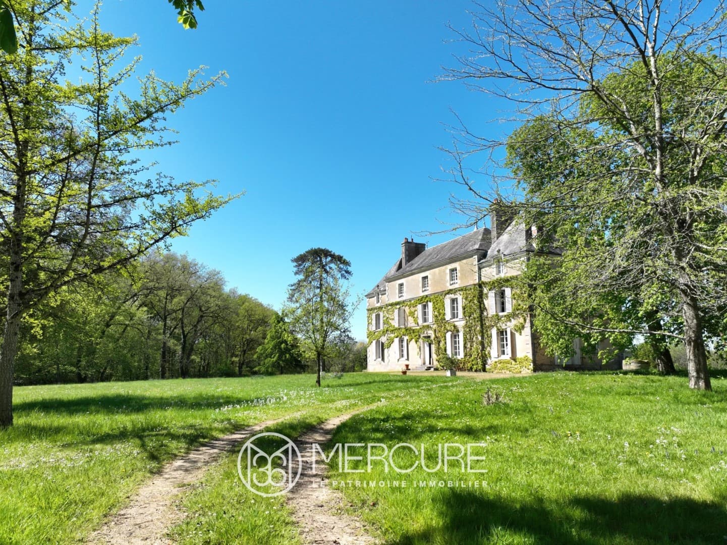 Stunning 19th Century Château Set Within 93 Hectares of Parkland 2