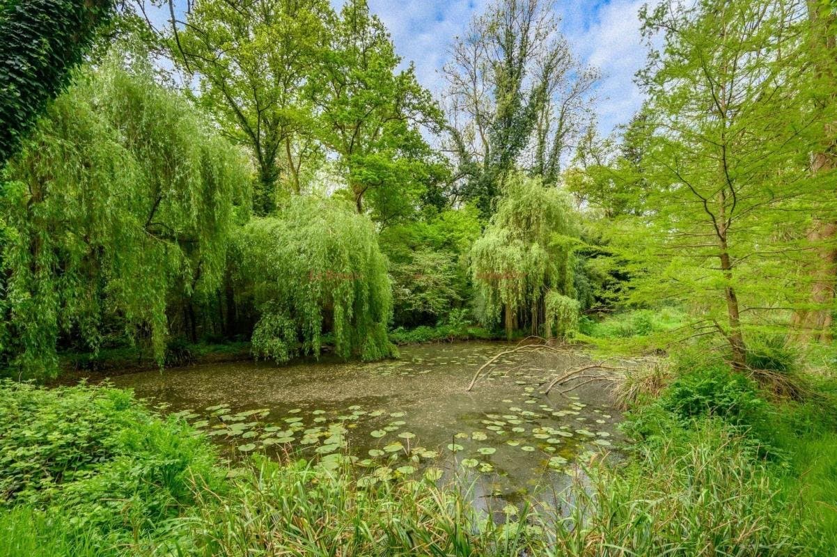 17th Century Manor With Panoramic Park View In Rochefort-En-Terre 3
