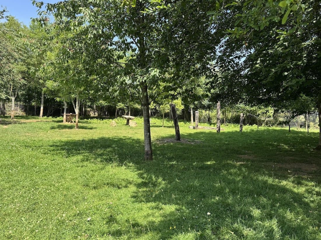 Charming Renovated Presbytery With Beautiful Park 3