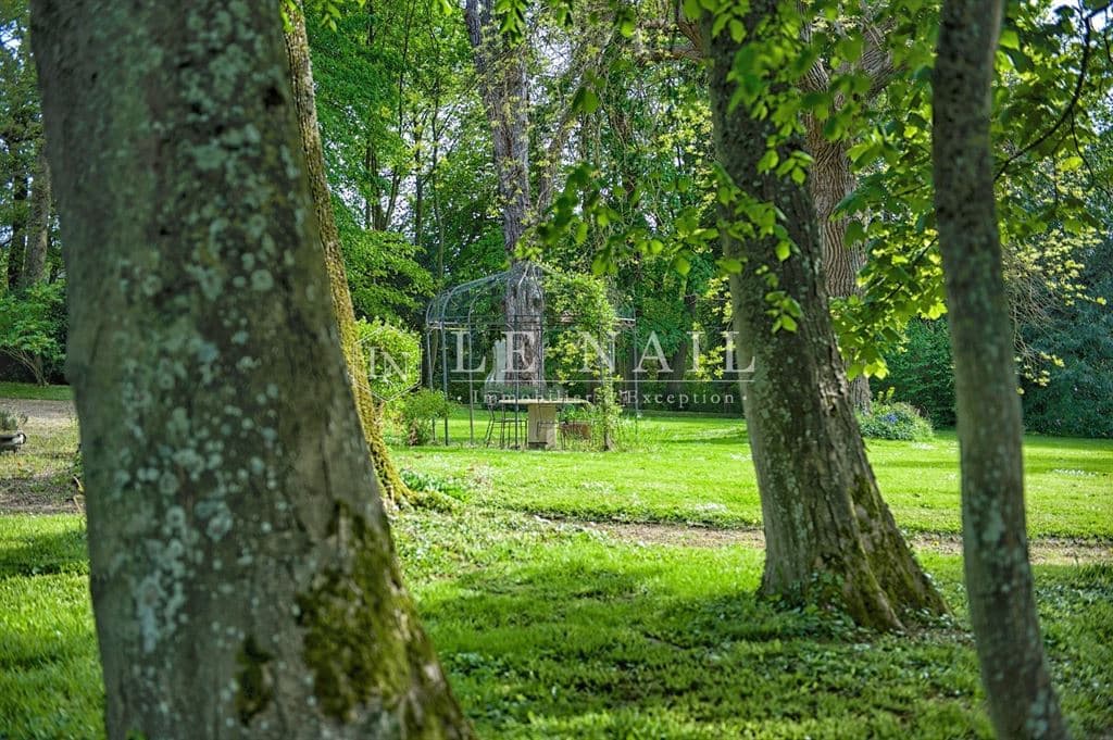 Elegant Neogothic Château with 12 Bedrooms and 7000 Sqm Park 4