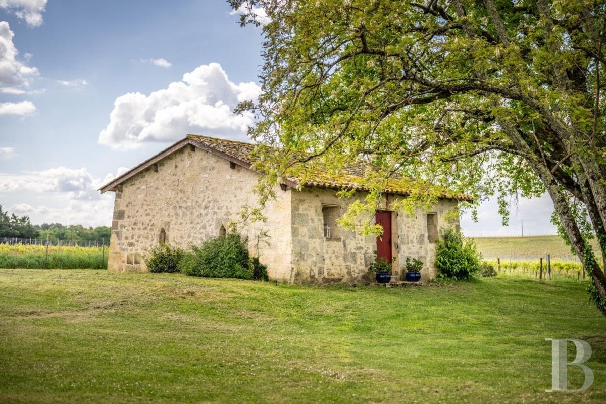 18th Century Château With Gîtes, Reception Room, And Two Swimming Pools 2