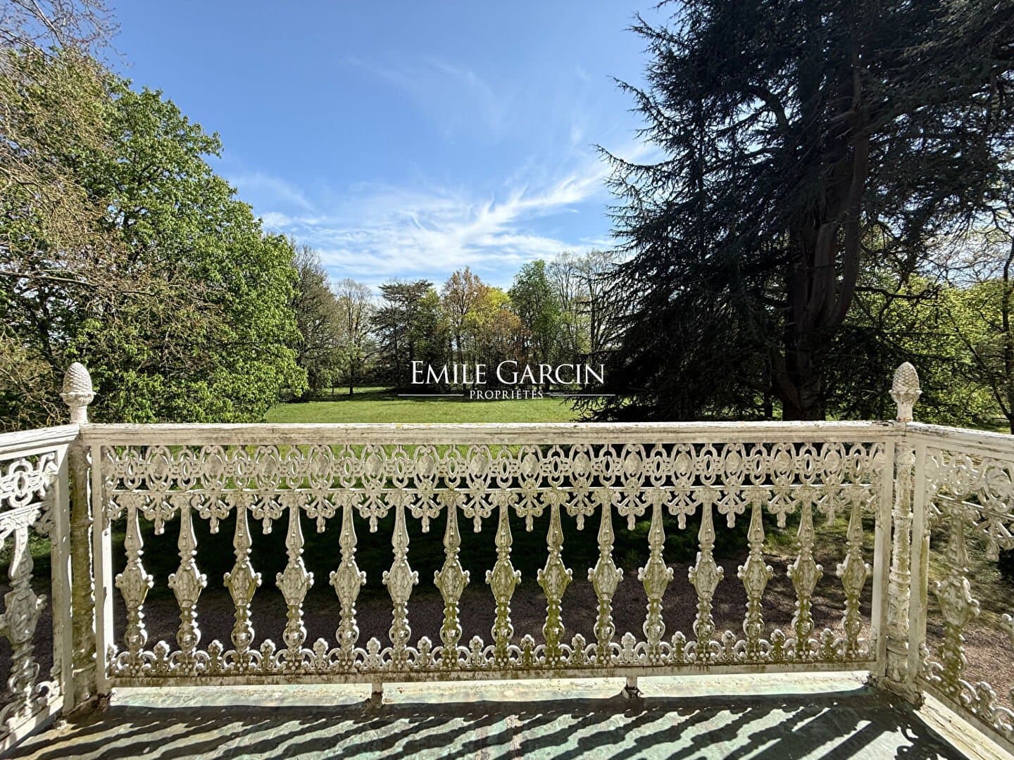 Elegant 19th Century Château Set Within An 88 Hectare Estate 5