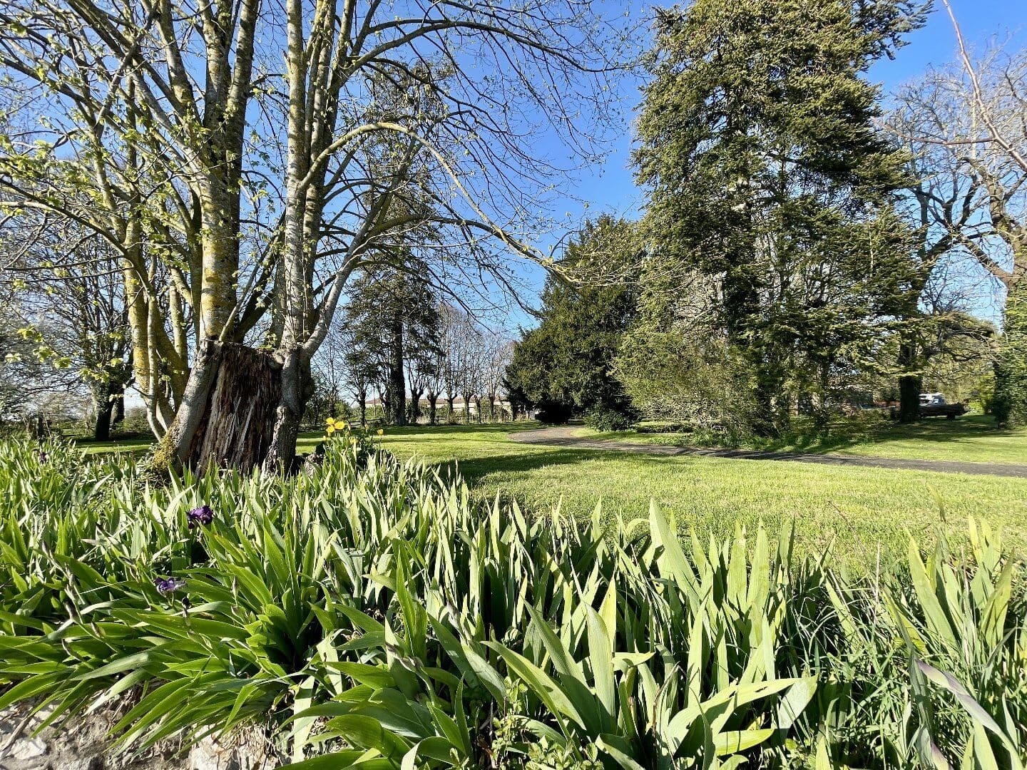 Historic 12th Century Castle with Heated Pool and Extensive Outbuildings 3