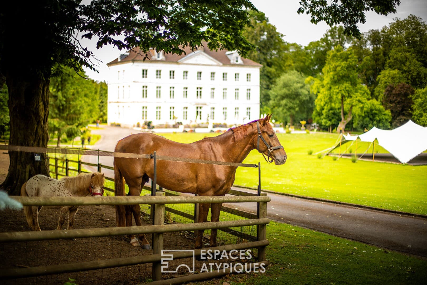 Magnificent 19th Century Castle With Event Venue And Heated Infinity Pool 5