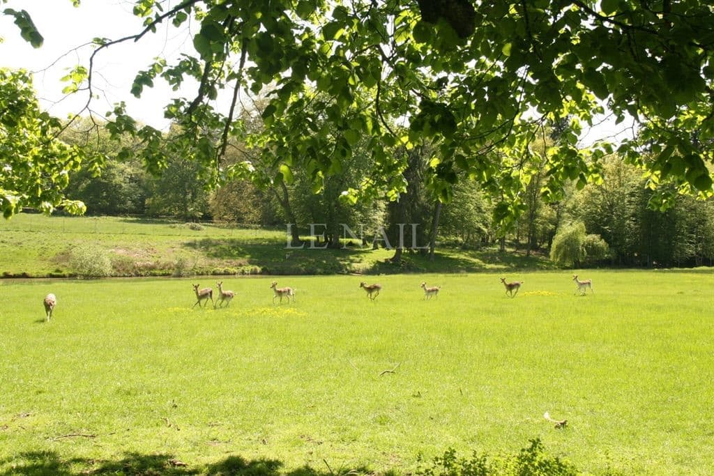 Elegant 18th Century Château Surrounded By Lush Parkland 2
