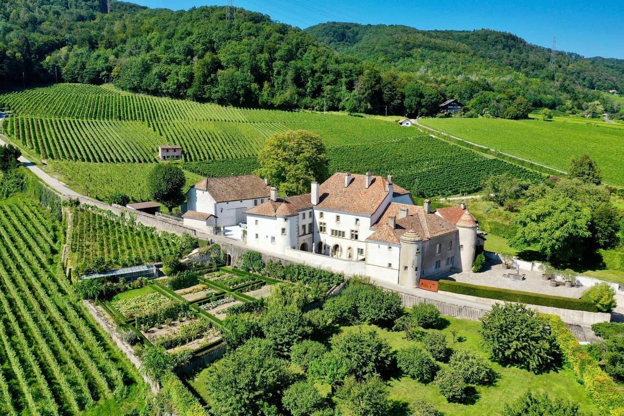 Stunning 13th Century Château With Vineyard Overlooking Lake Geneva — Château for sale in La Côte, Switzerland