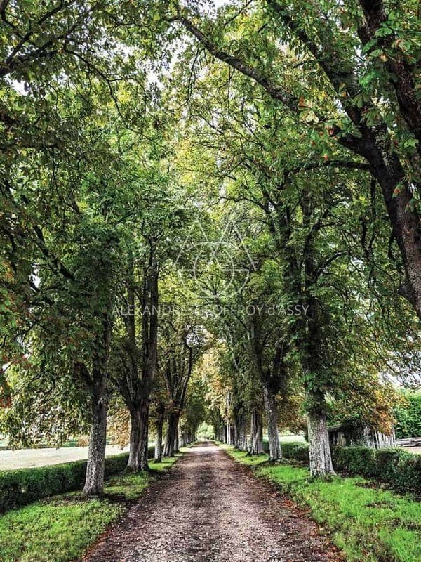 Stunning 19th Century Château With Expansive Grounds And River Views 5