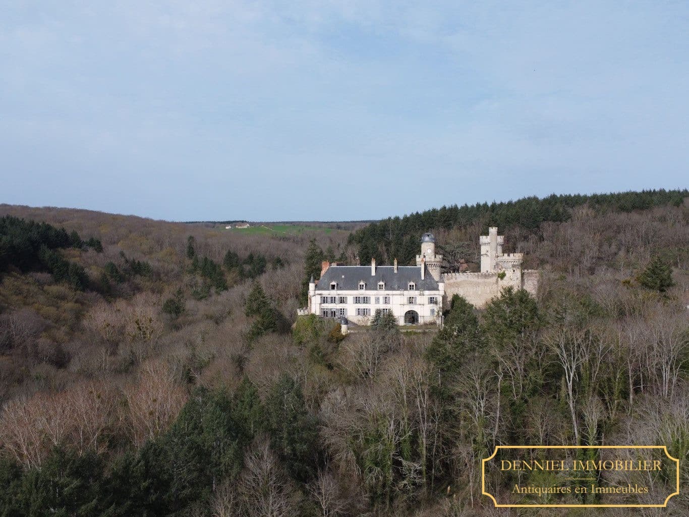 Historic Castle of Veauce with 8.3 Hectares and Stunning Views 2