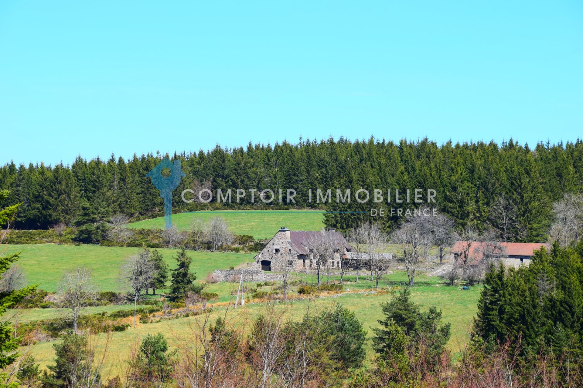 Exceptional 56 Hectare Property With Majestic House In The Ardèche Mountains 4