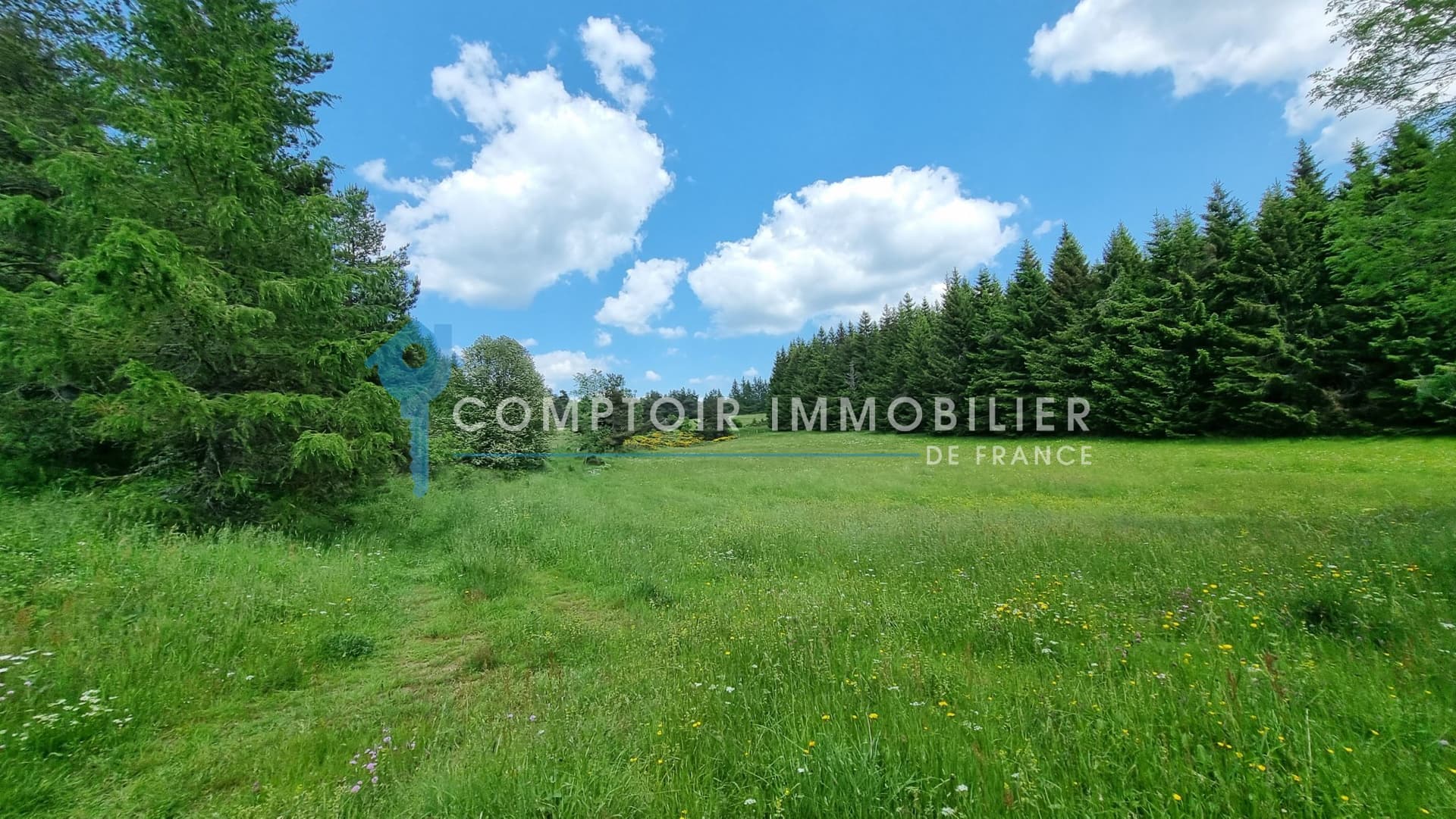Exceptional 56 Hectare Property With Majestic House In The Ardèche Mountains 5