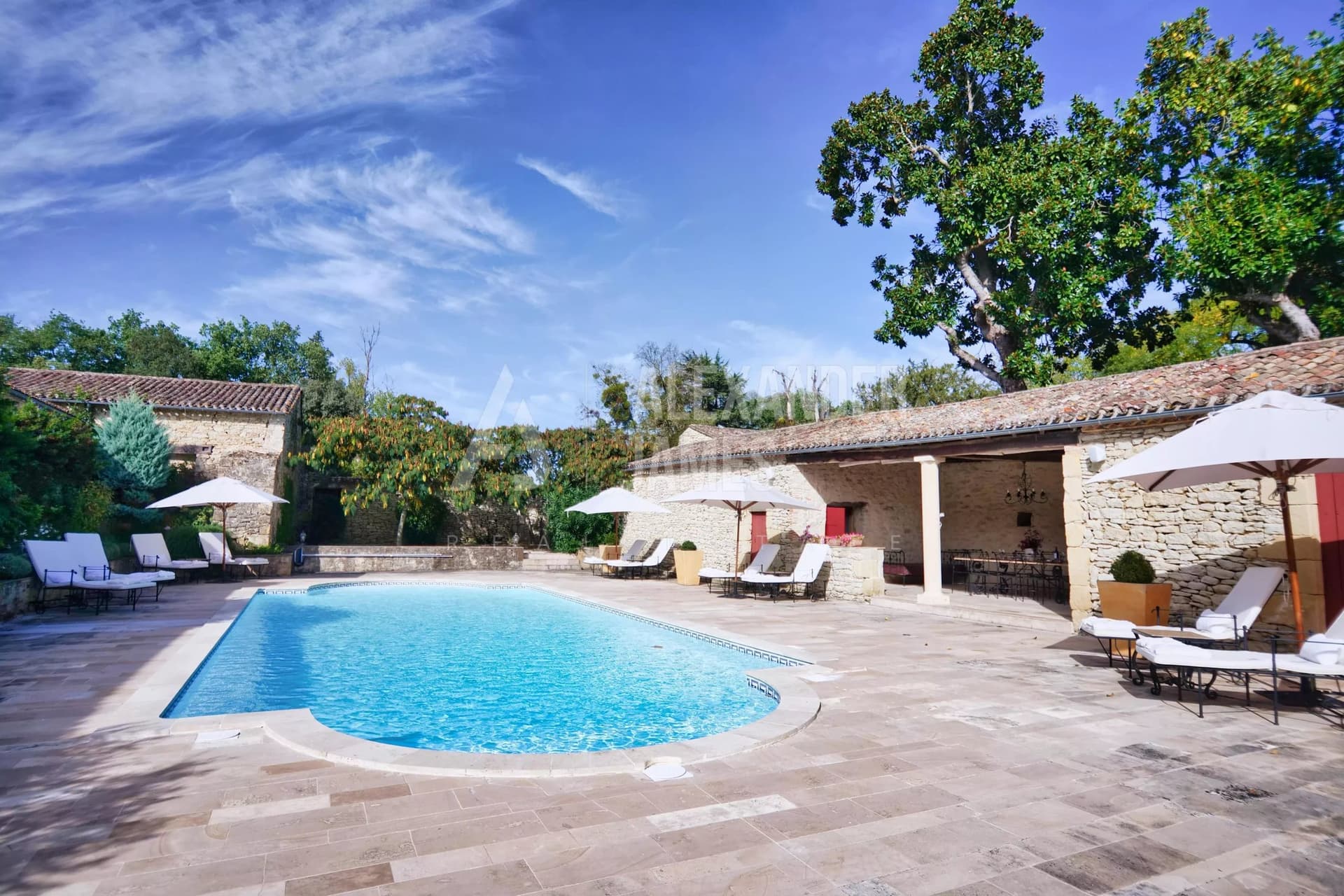 Magnificent Château With 9.5 Hectares, Swimming Pool, And Panoramic Views 4