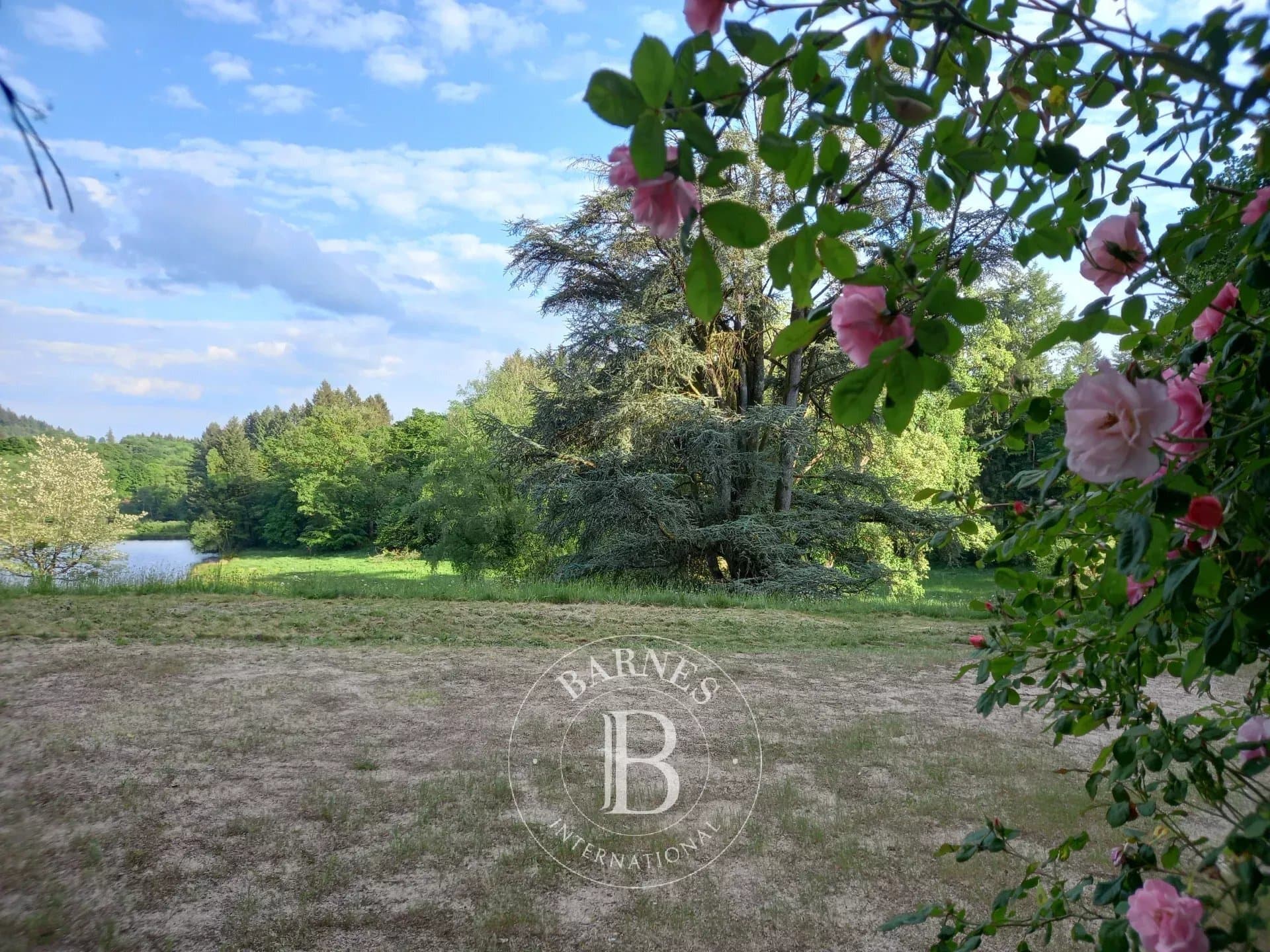 Château with 533 Sqm Living Space and 10 Bedrooms in a 10 Hectare Park 3