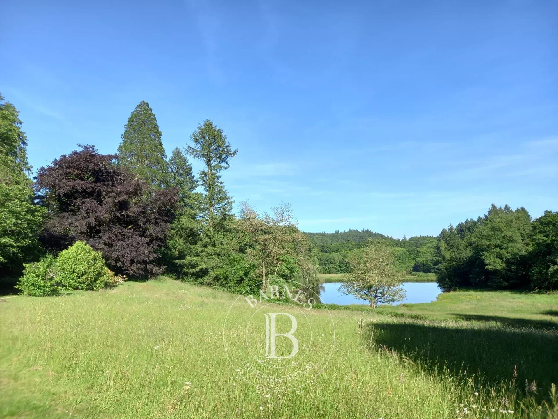 Château with 533 Sqm Living Space and 10 Bedrooms in a 10 Hectare Park 5