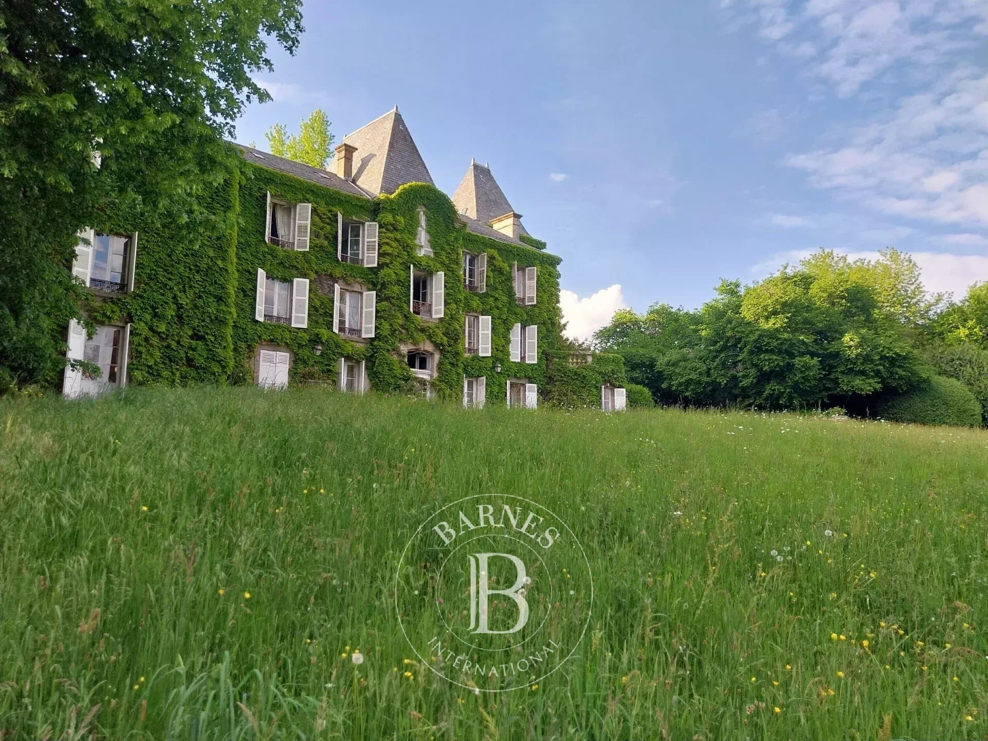Château with 533 Sqm Living Space and 10 Bedrooms in a 10 Hectare Park 3