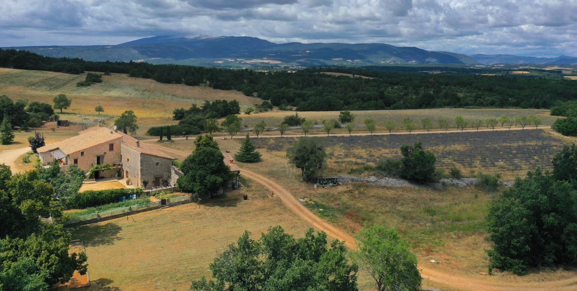 Stunning 443 Sqm Farmhouse Set Within 107 Hectares of Lavender Fields 2
