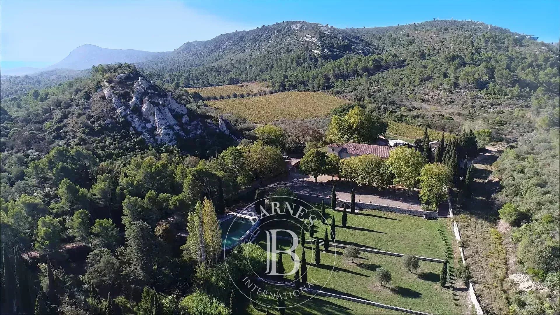 Exceptional 19th Century Château With Vast Estate And Multiple Amenities 3