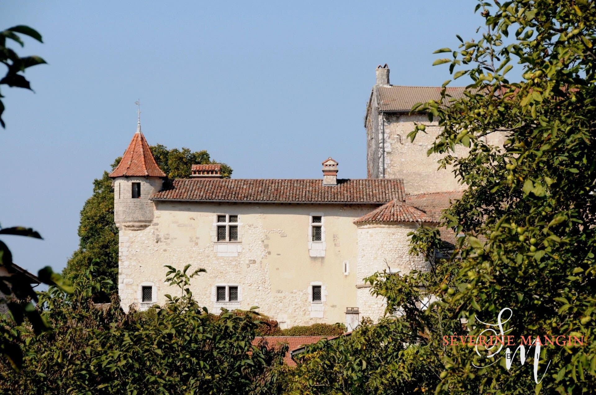 Château Prunier With Panoramic Views And Historic Charm — Château for sale in Isère, France