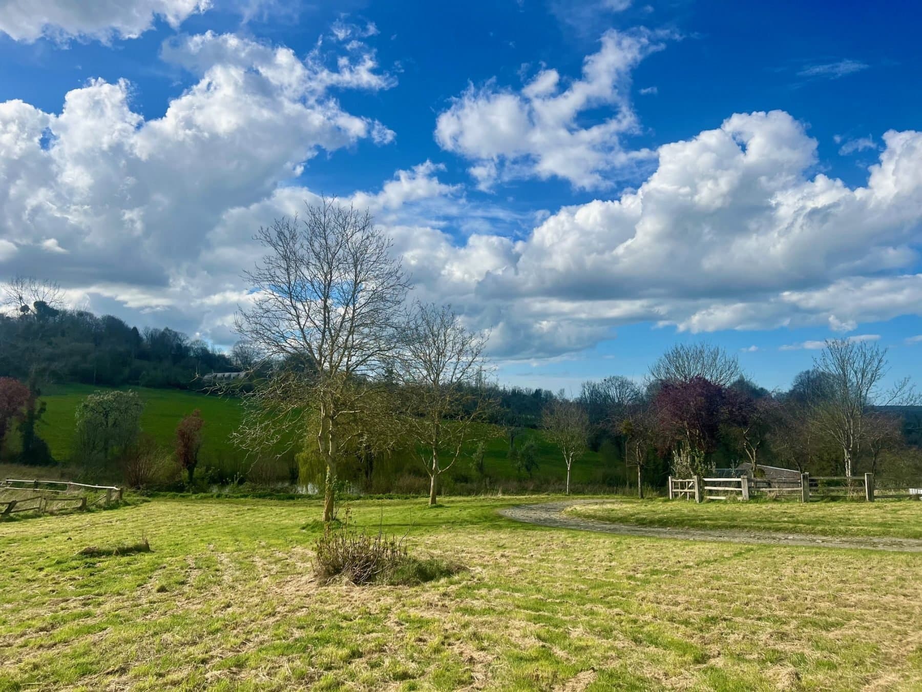 Charming Normandy Manor With Stable And Paddock 4