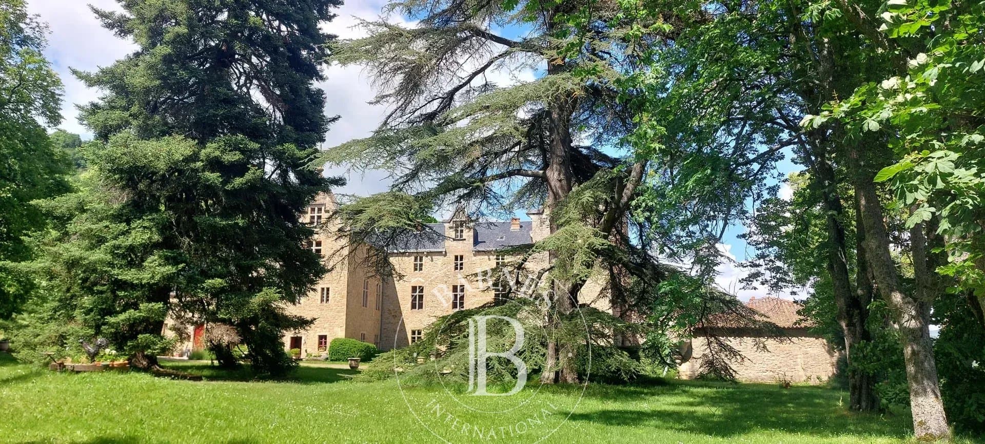 Historic Château With 8 Bedrooms And Expansive Parkland 5